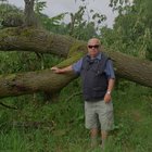 Kmen pro hejkala a jeho tvůrce Ing. Oldřich Polášek